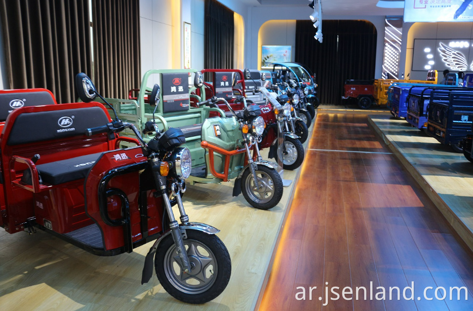 Electric Tricycle Truck